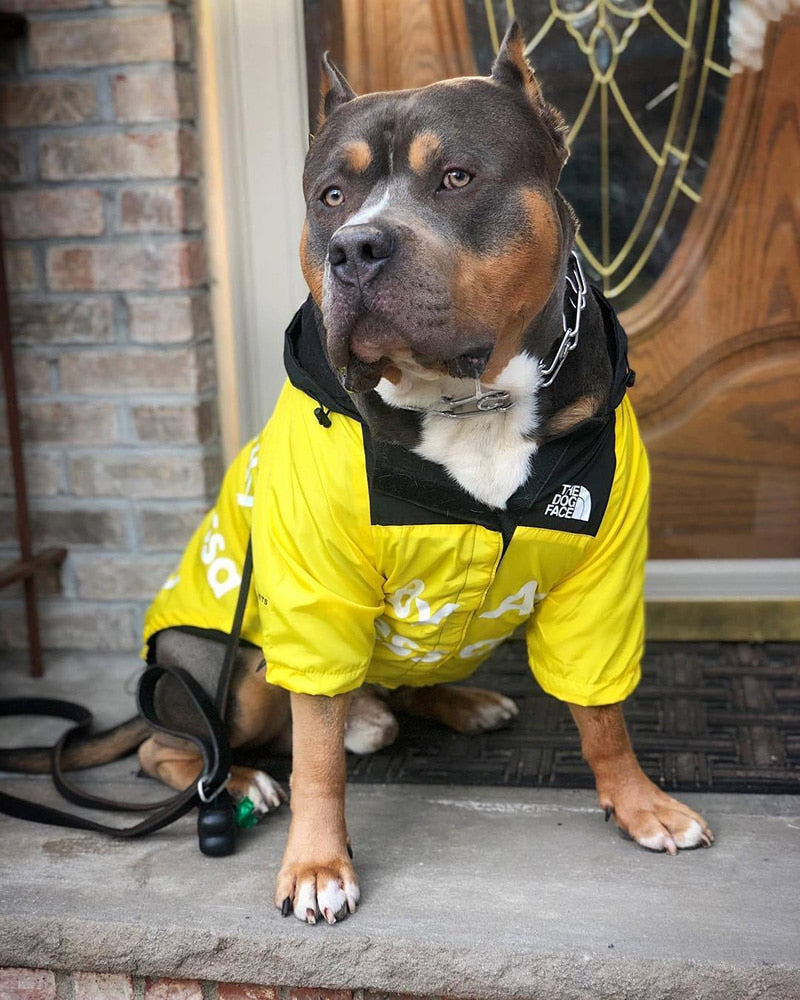 Stylish Dog Raincoat For Small And Big Dogs
