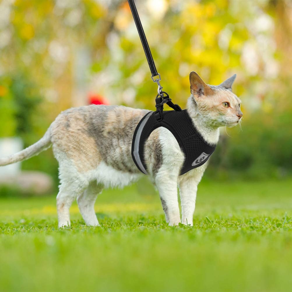 Adjustable Reflective Cat Harness And Leash Set