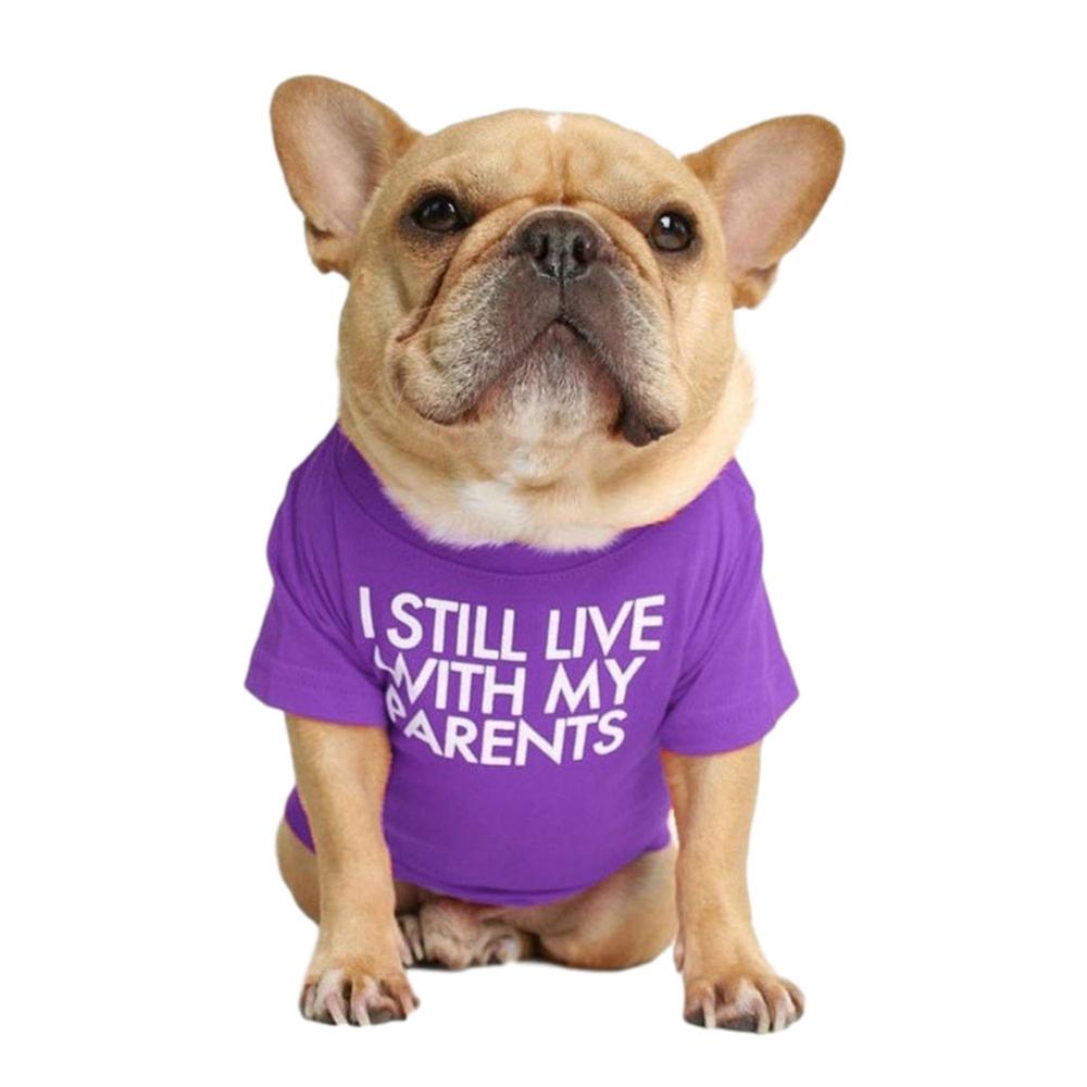 Soft Letters Printed French Bulldog Clothes