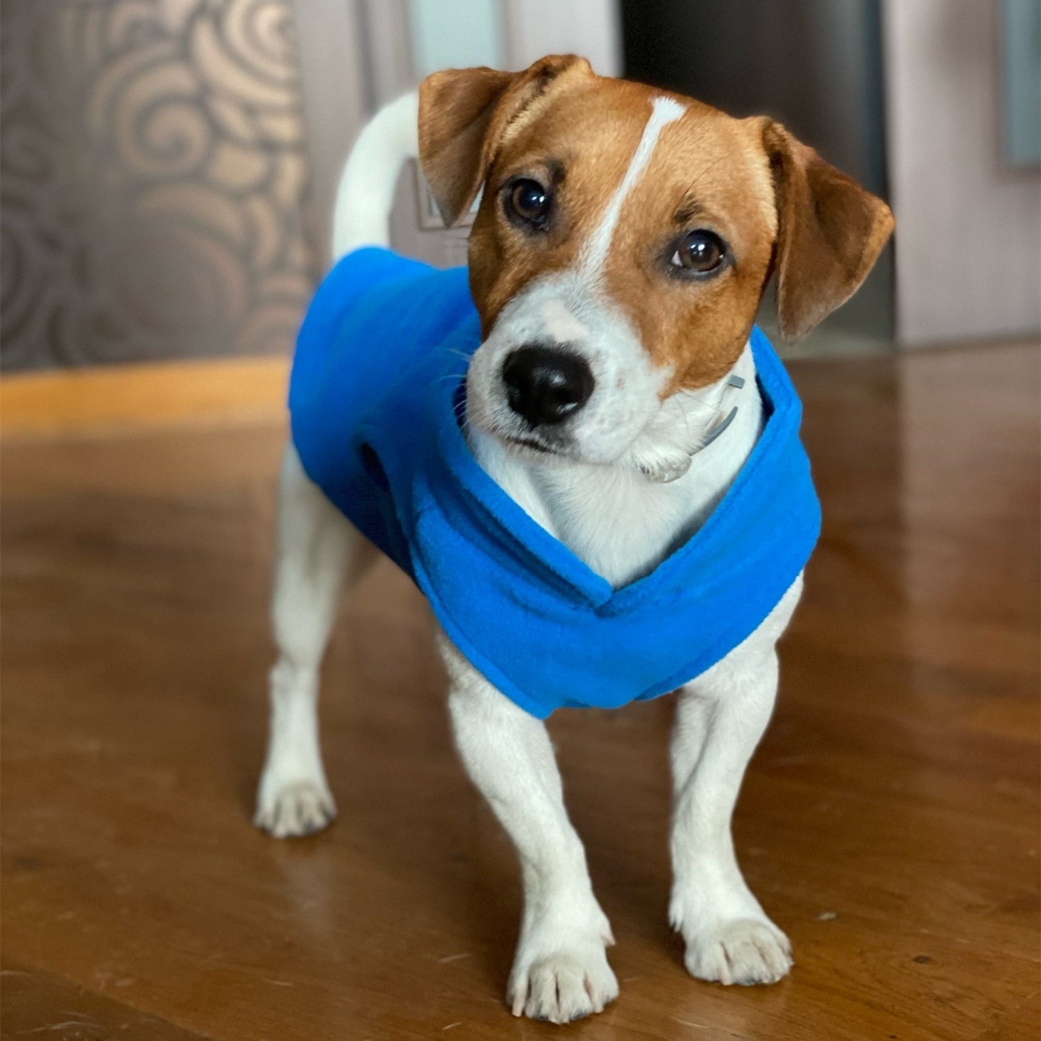 Cozy Winter Fleece Pet Dog Clothes