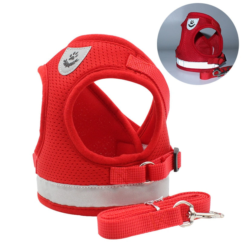 Adjustable Reflective Cat Harness And Leash Set