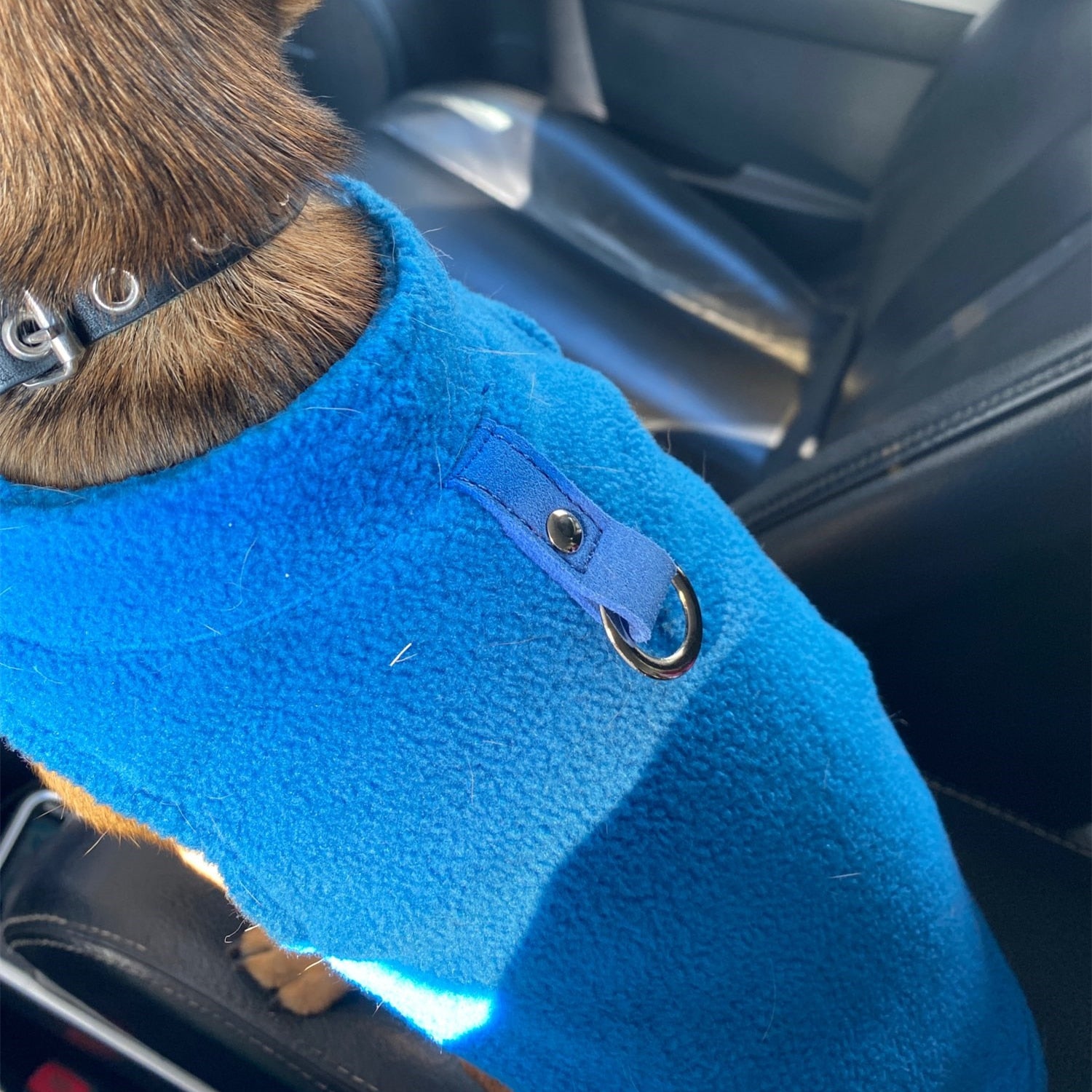 Cozy Winter Fleece Pet Dog Clothes