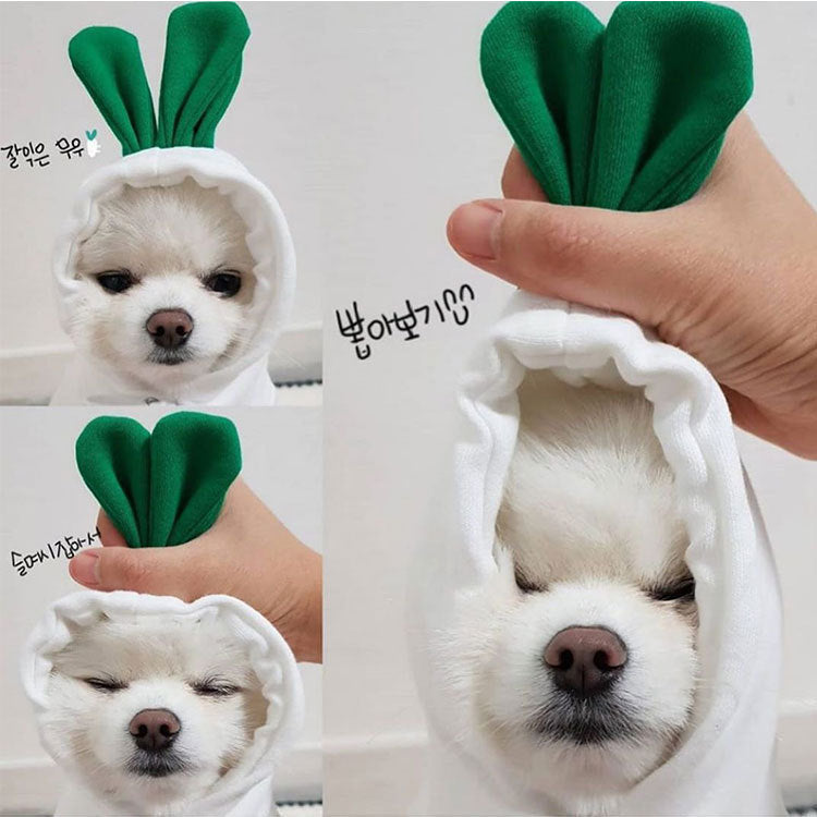 Cozy Hooded Sweatshirt For Dogs And Cats