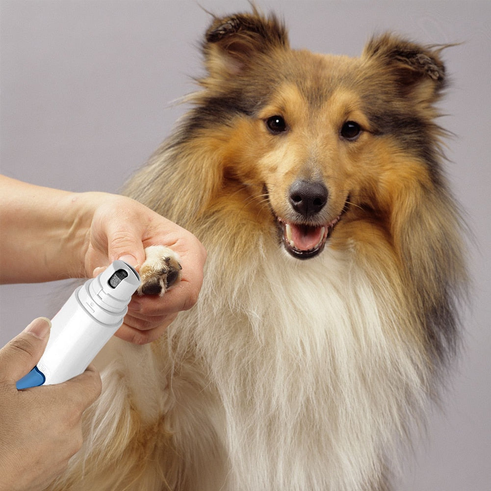 Pro Grooming Tool For Dogs And Cats