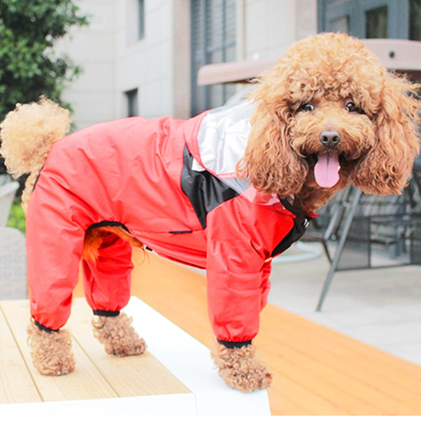 Transparent Hooded Jumpsuit For Dogs & Cats
