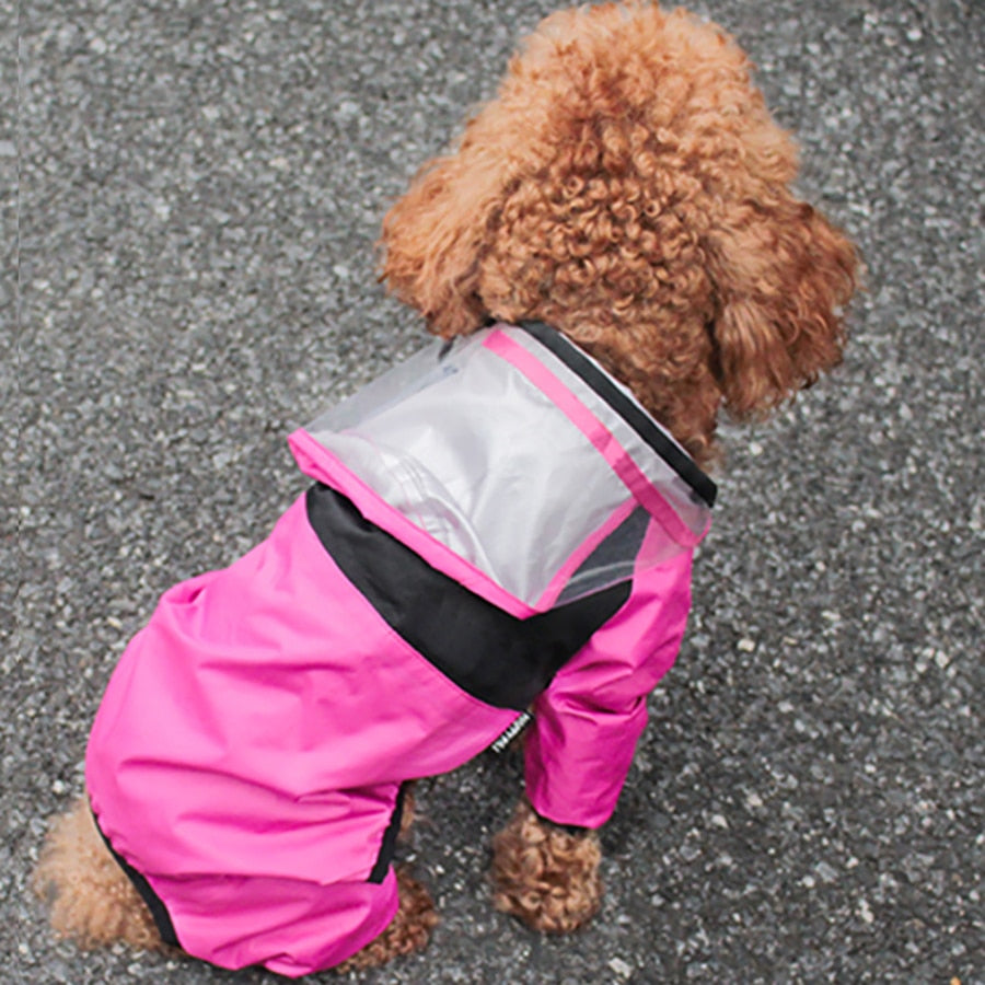 Transparent Hooded Jumpsuit For Dogs & Cats