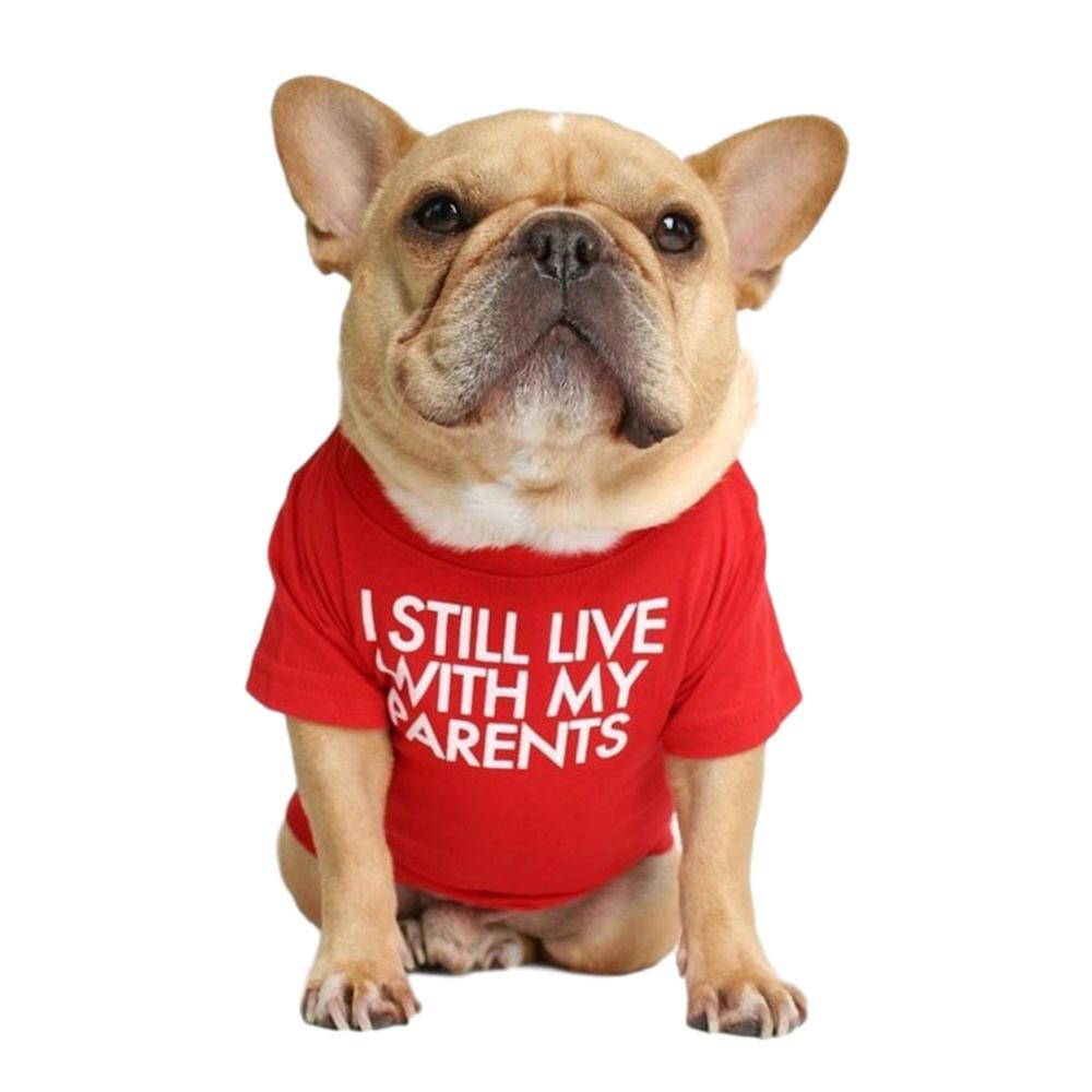 Soft Letters Printed French Bulldog Clothes