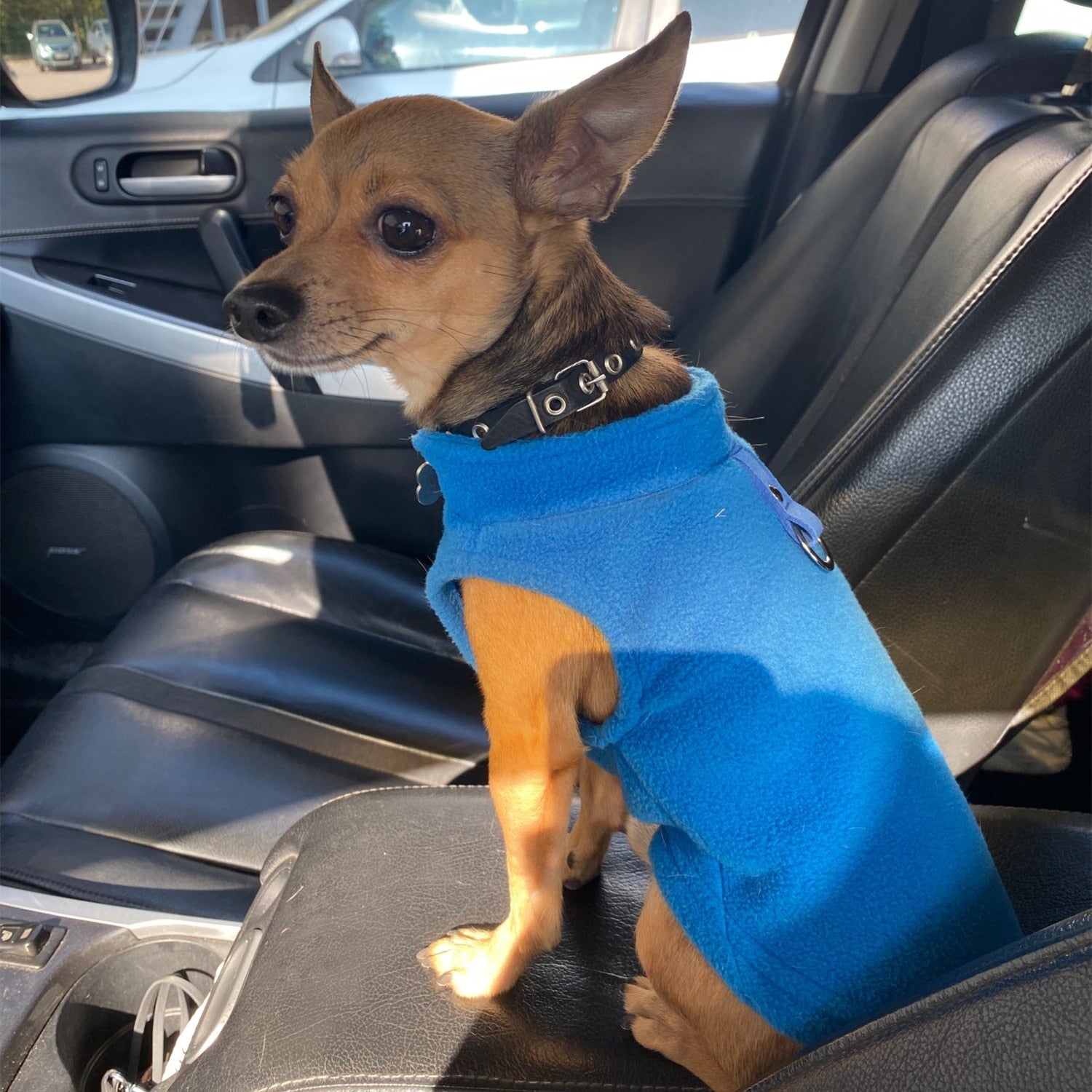 Cozy Winter Fleece Pet Dog Clothes