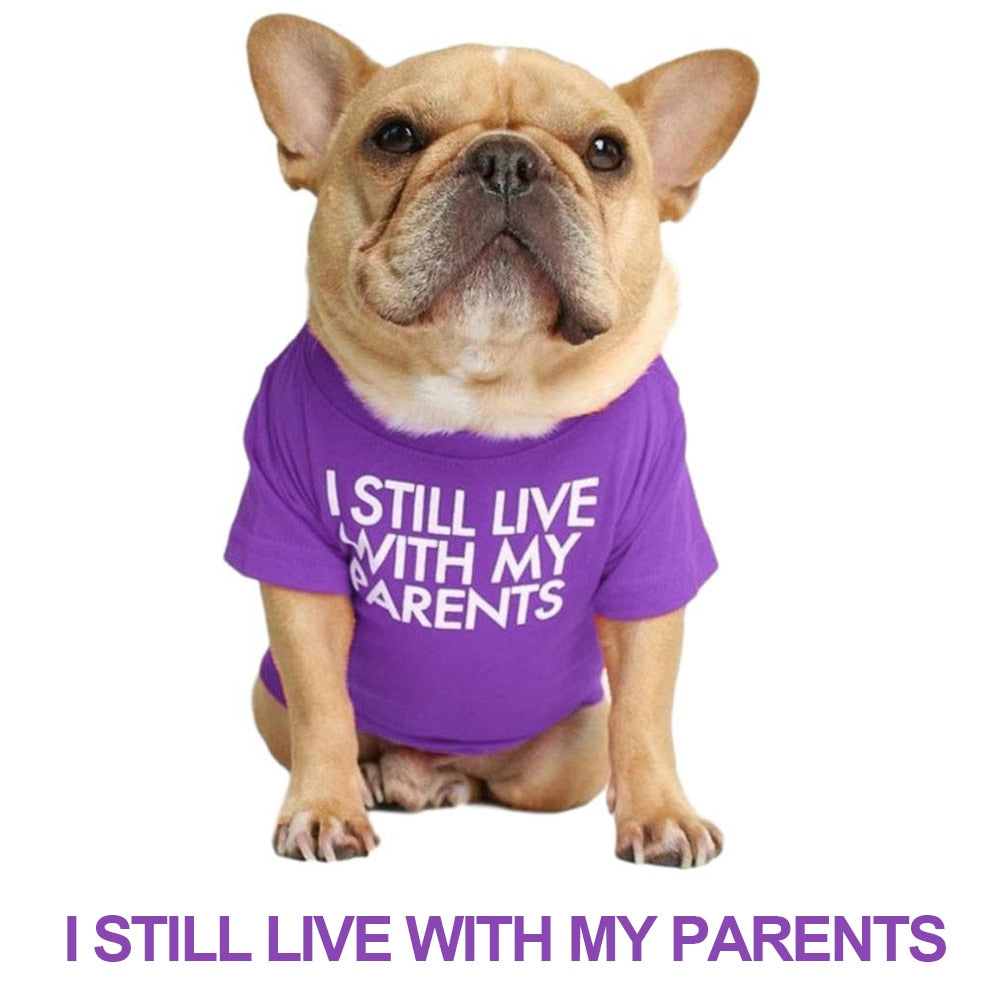 Soft Letters Printed French Bulldog Clothes