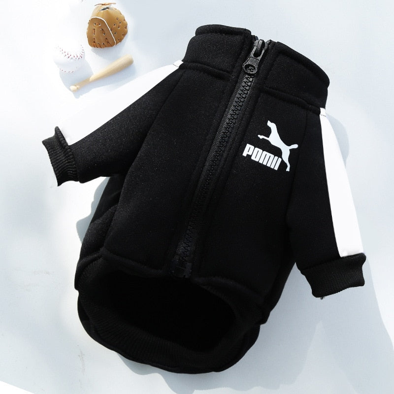 Winter Dog Jacket For Small And Medium Dogs