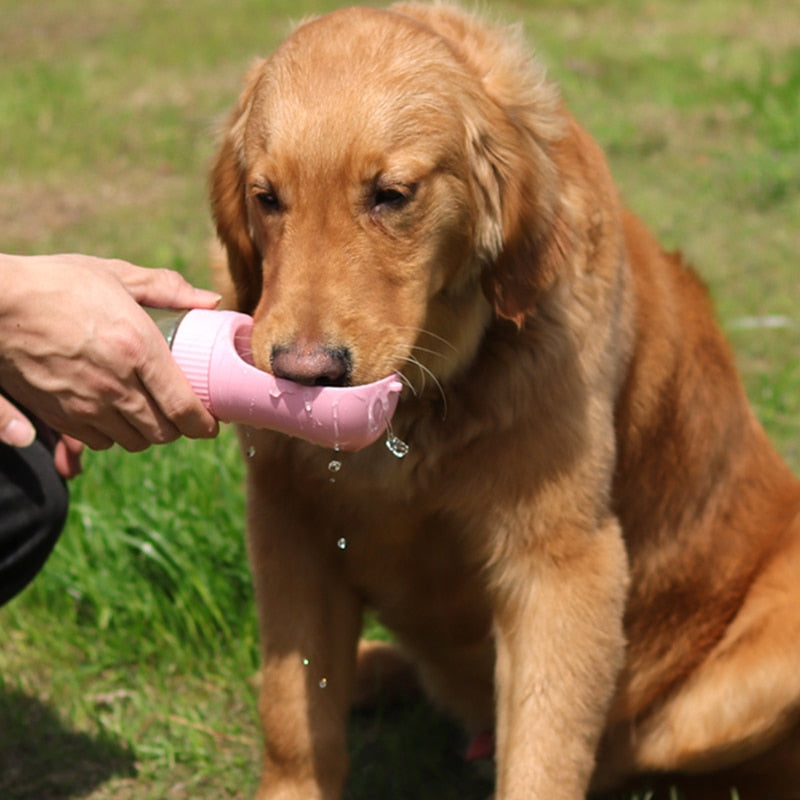 Outdoor Travel Drinking Feeder Bowl For Pet