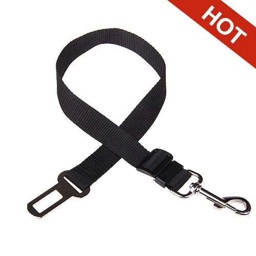 Vehicle Dog Harness For Safety And Control