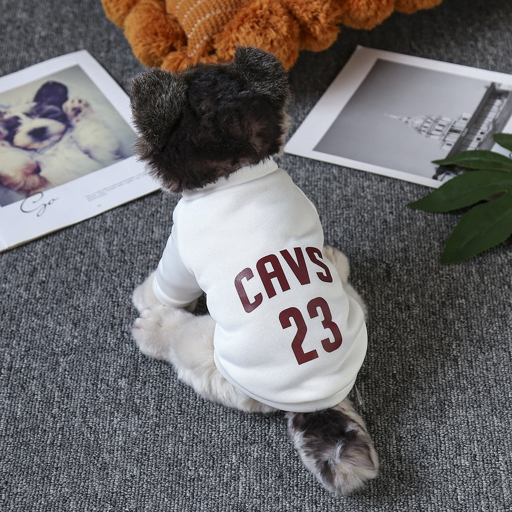 Cat And Puppy Pullover For Autumn And Winter