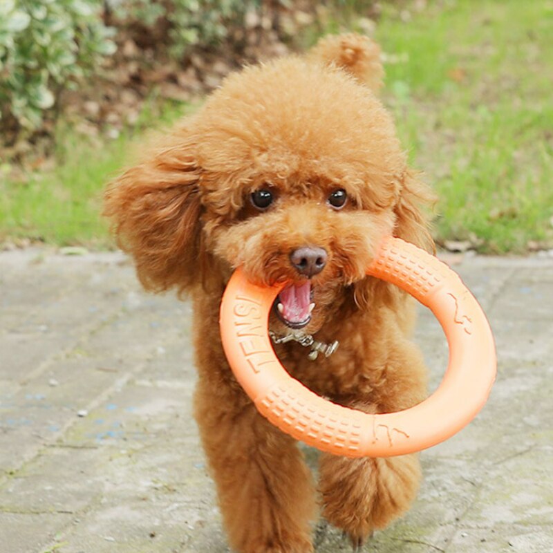 Pet Flying Disk for Interactive Training & Anti-Bite Fun