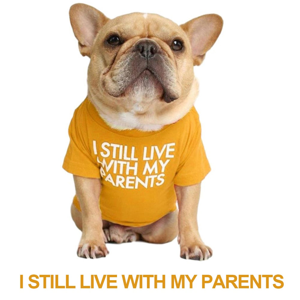 Soft Letters Printed French Bulldog Clothes