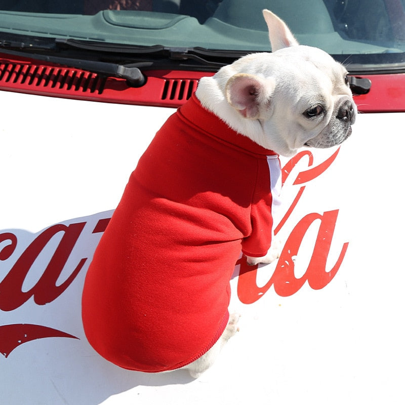 Winter Dog Jacket For Small And Medium Dogs