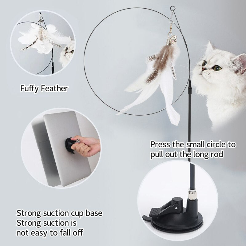 Handfree Teaser Wand With Suction Cup