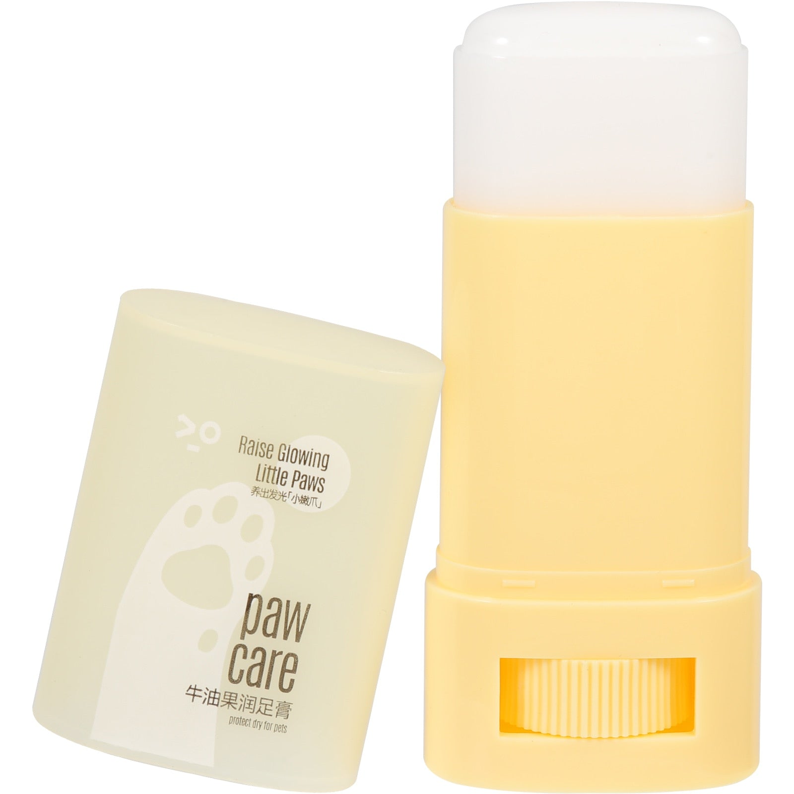 Moisturizing Care for Dogs and Cats During Winter