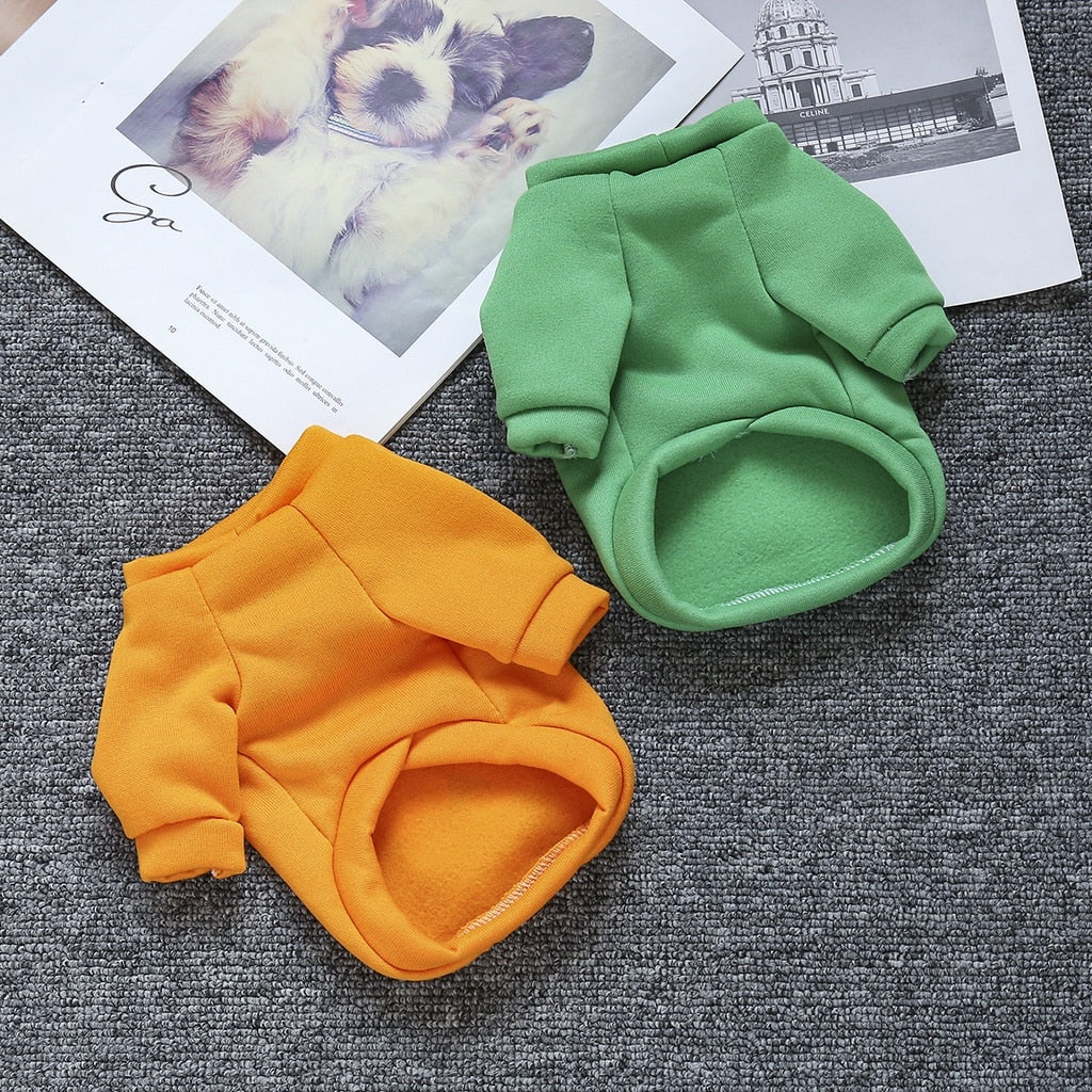 Cat And Puppy Pullover For Autumn And Winter