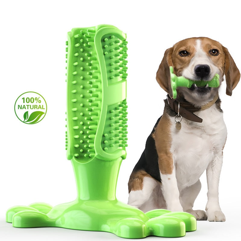 Durable Squeak Toys For Dogs