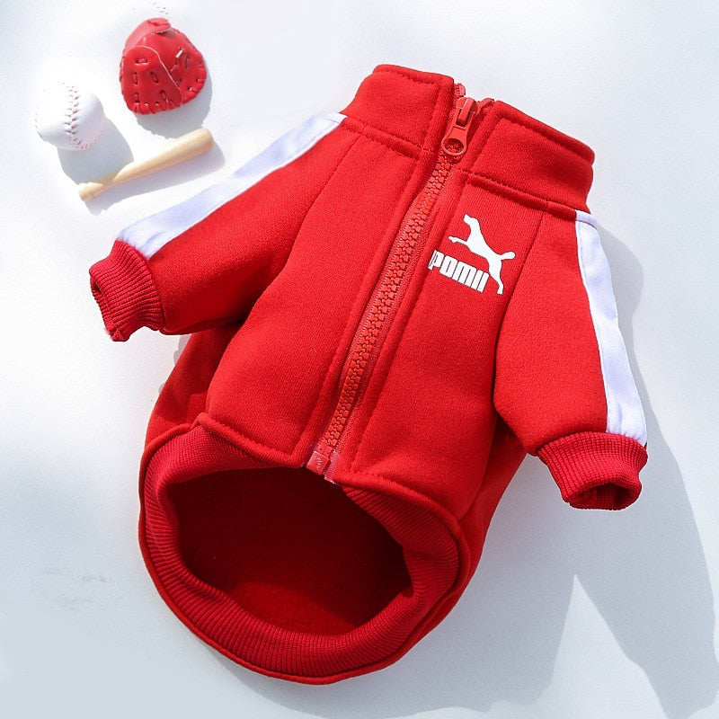 Winter Dog Jacket For Small And Medium Dogs