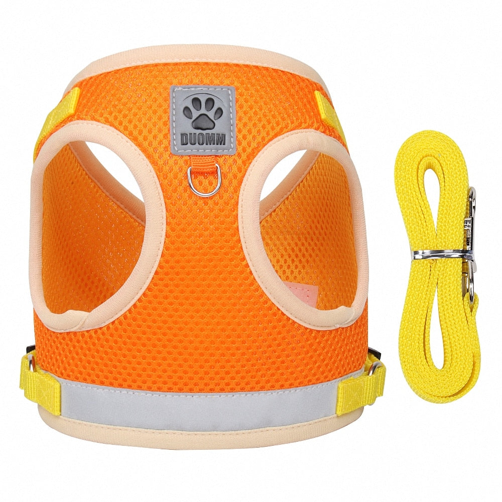 Adjustable Reflective Cat Harness And Leash Set