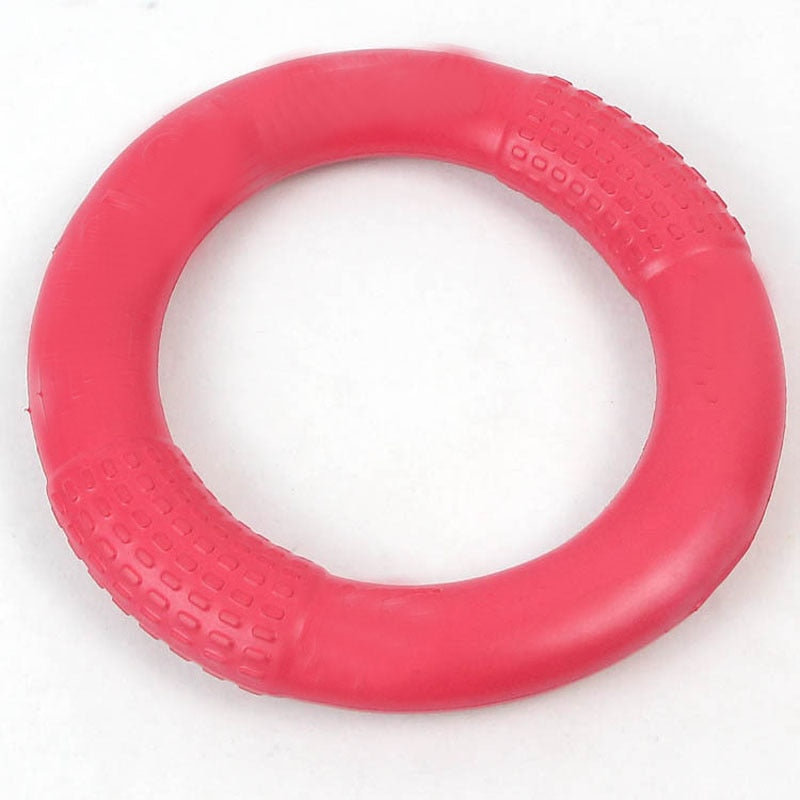 Pet Flying Disk for Interactive Training & Anti-Bite Fun