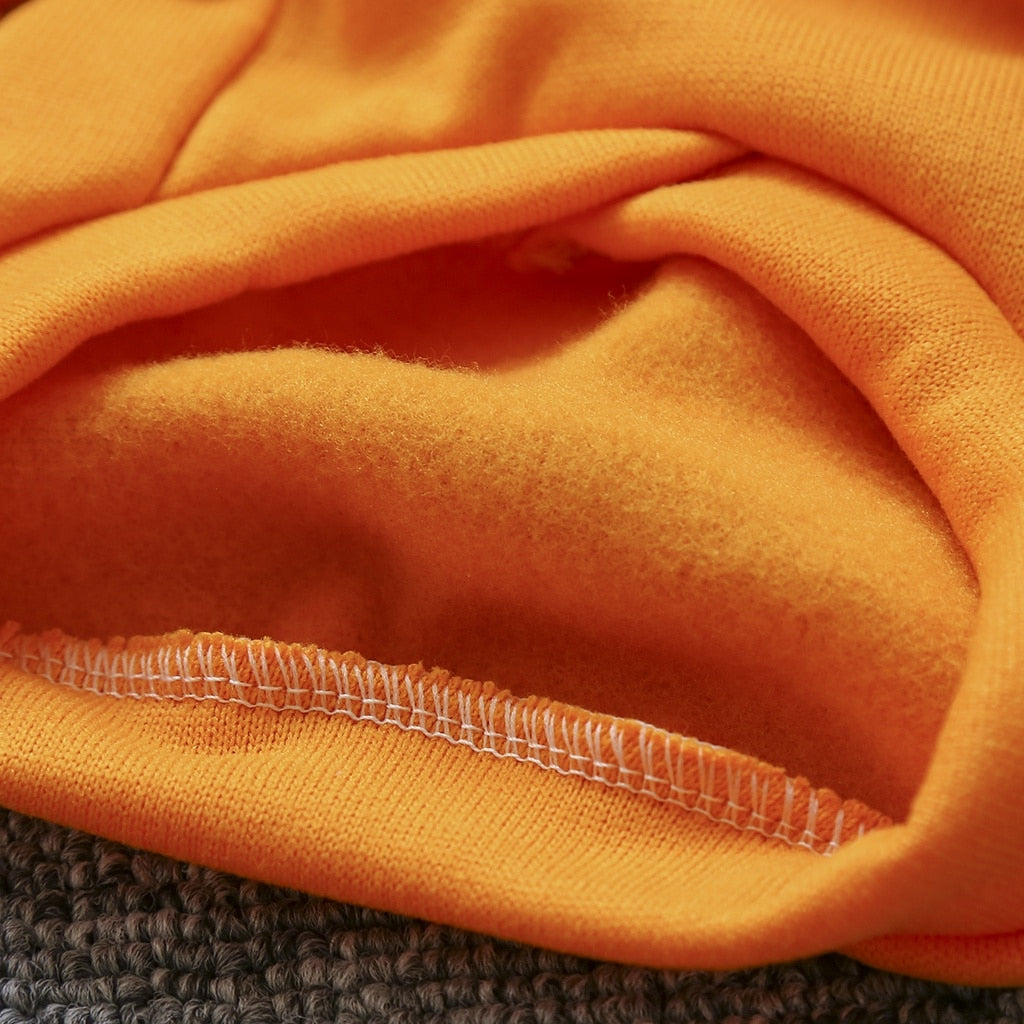 Cat And Puppy Pullover For Autumn And Winter