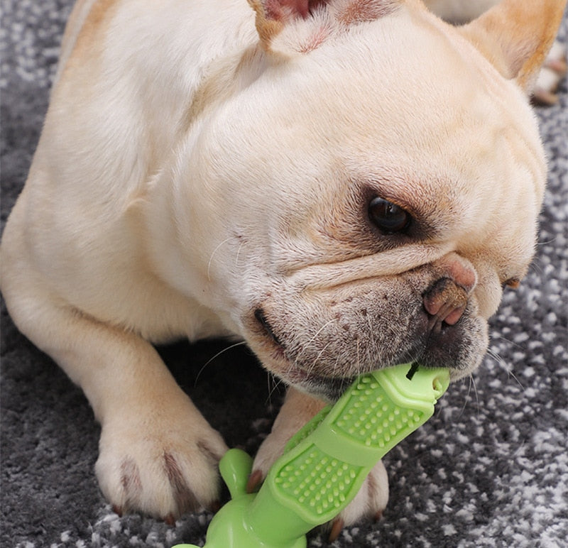 Durable Squeak Toys For Dogs