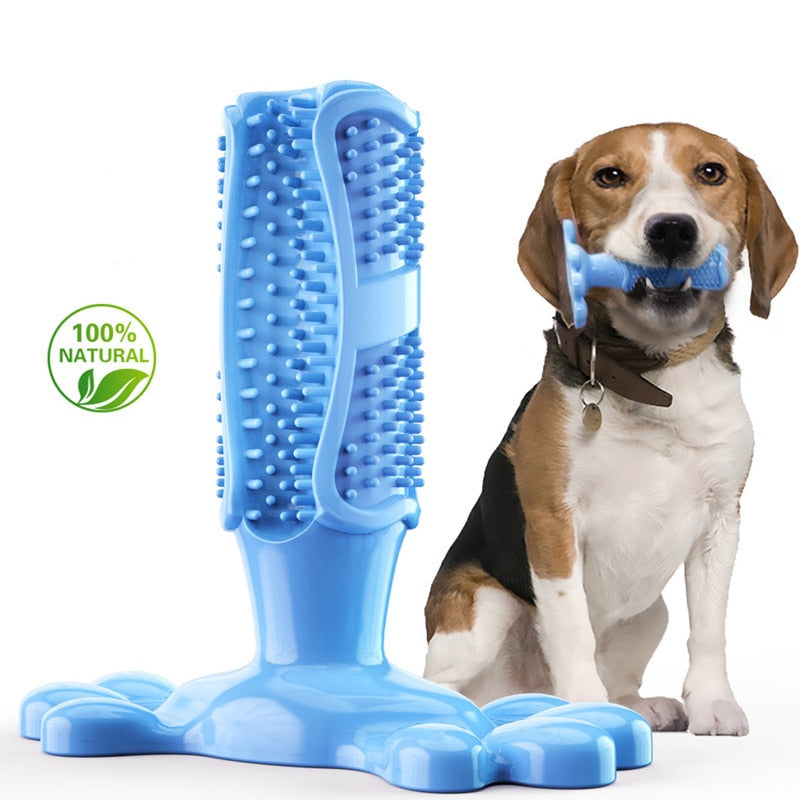 Durable Squeak Toys For Dogs