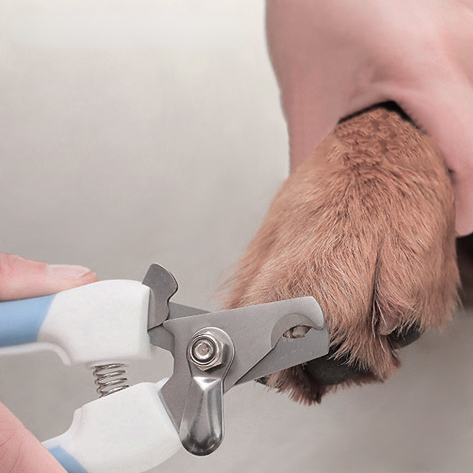 Labor-Saving Pet Nail Clippers