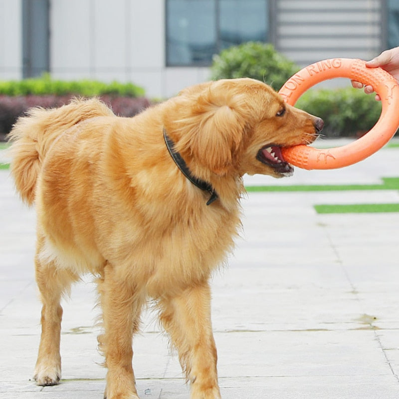 Pet Flying Disk for Interactive Training & Anti-Bite Fun