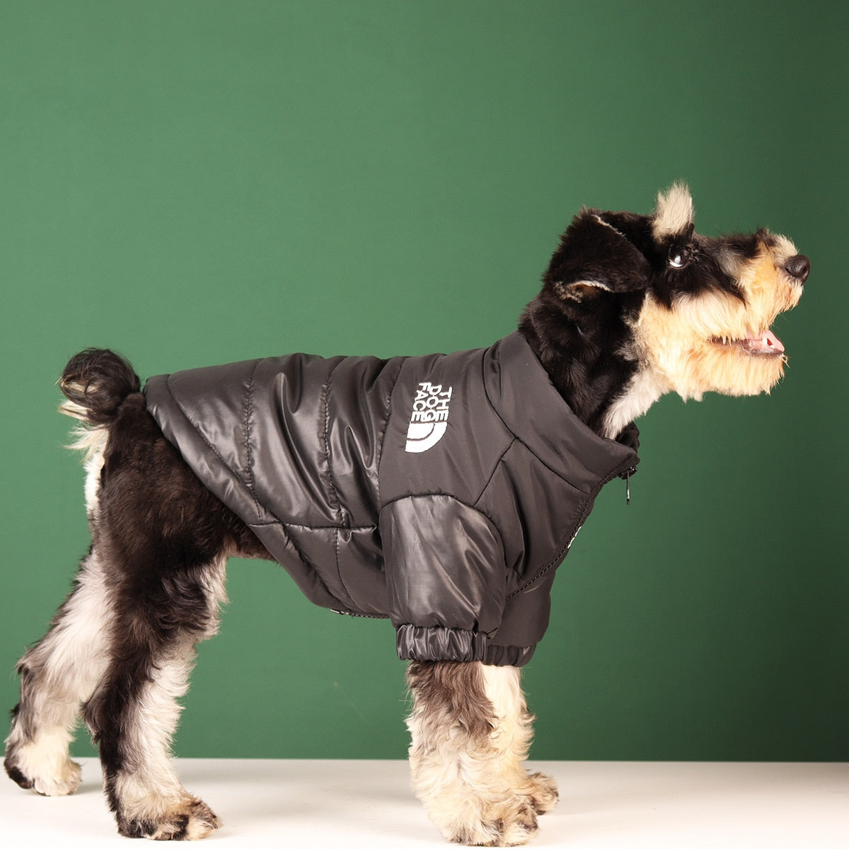 Windproof Winter Dog Jacket