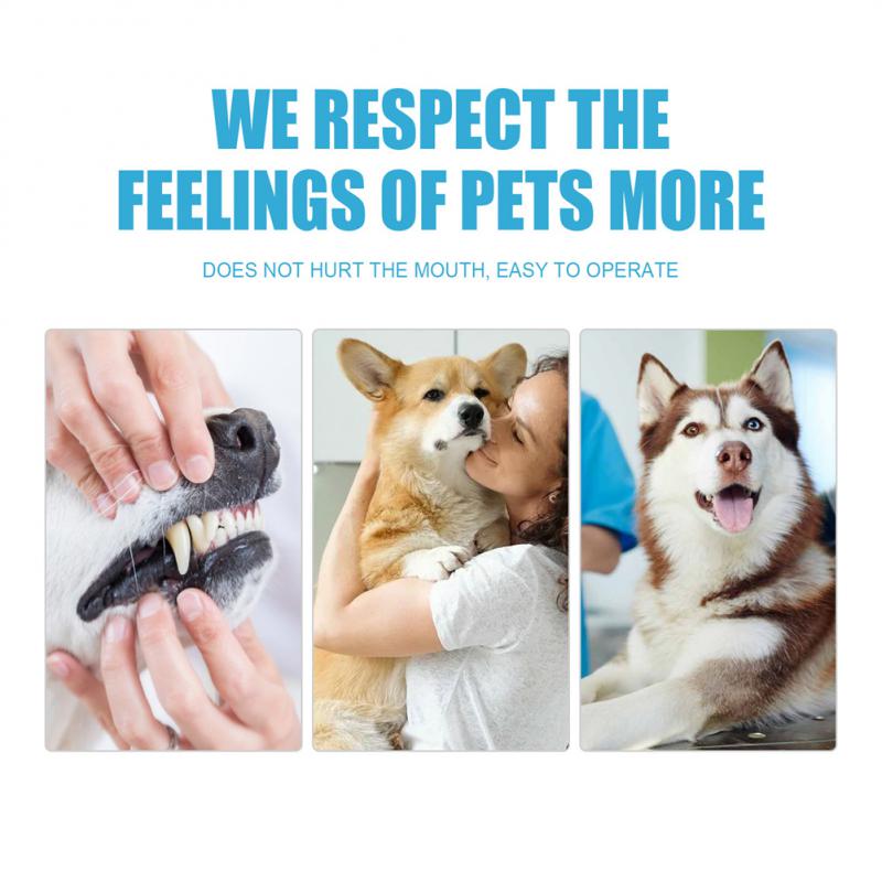 60g Dog And Cat Toothpaste For Fresh Breath