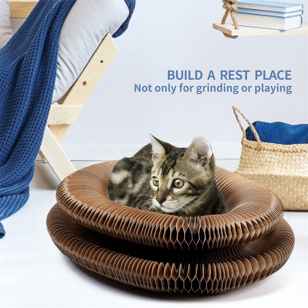 Bell-Enhanced Scratch Board For Claw Climbing & Cat Grind