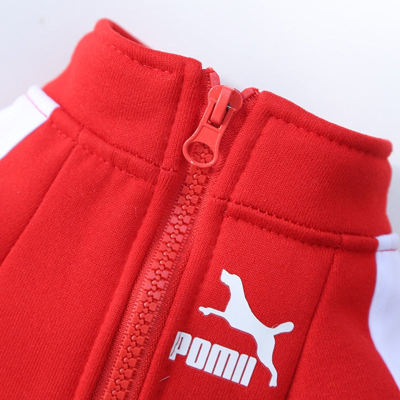 Winter Dog Jacket For Small And Medium Dogs