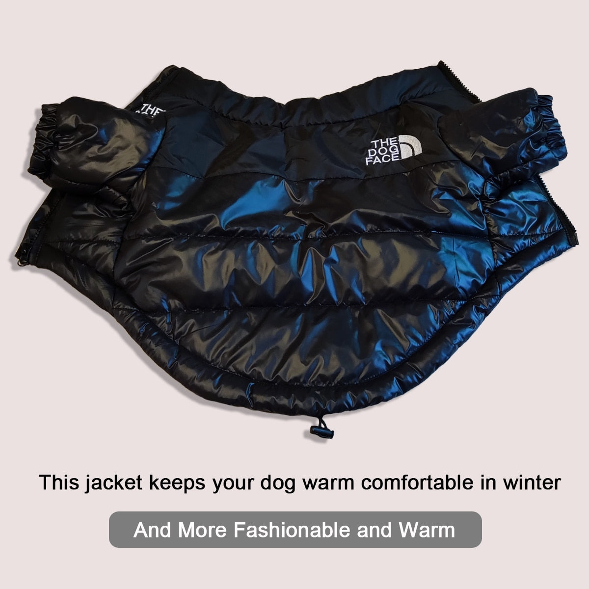 Windproof Winter Dog Jacket
