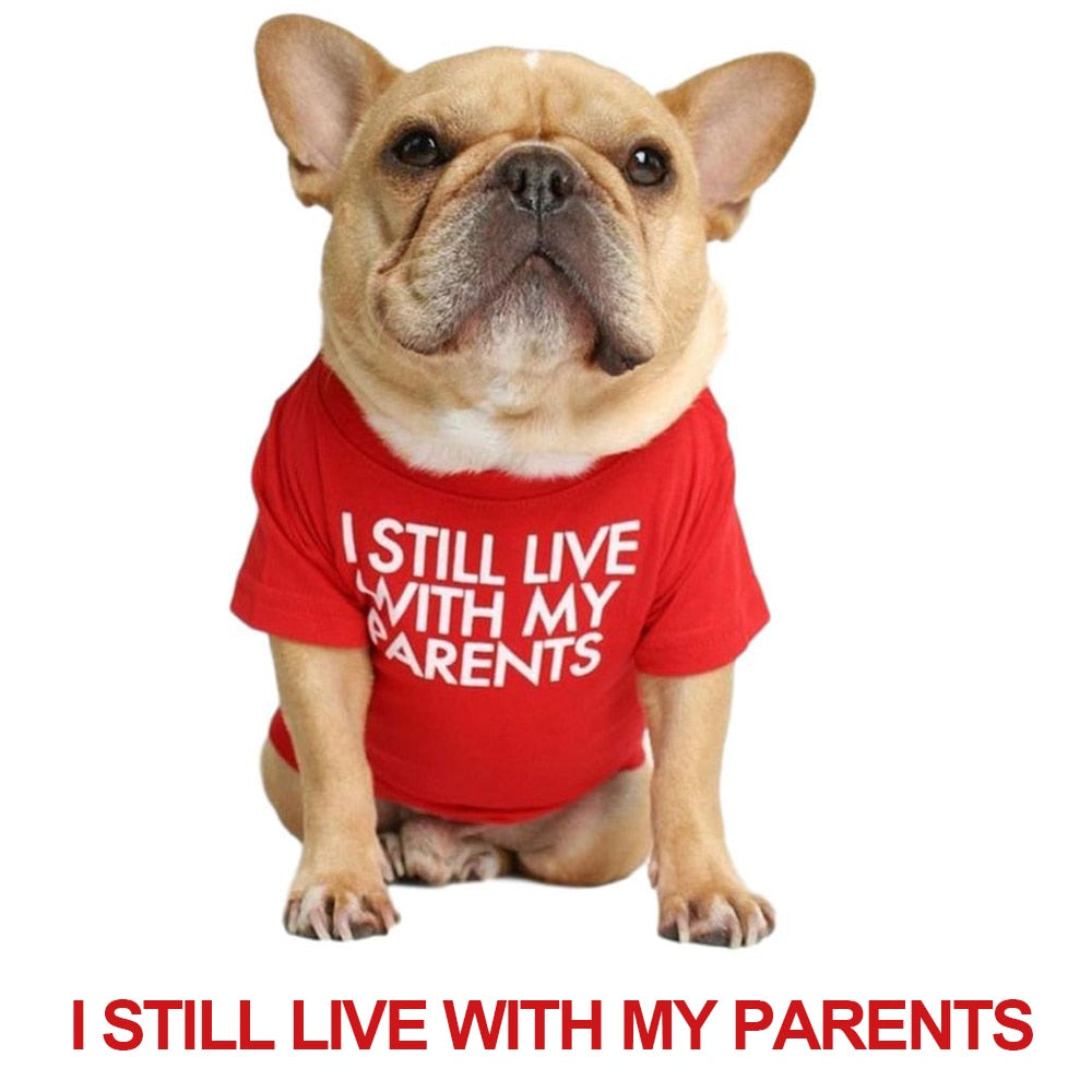 Soft Letters Printed French Bulldog Clothes