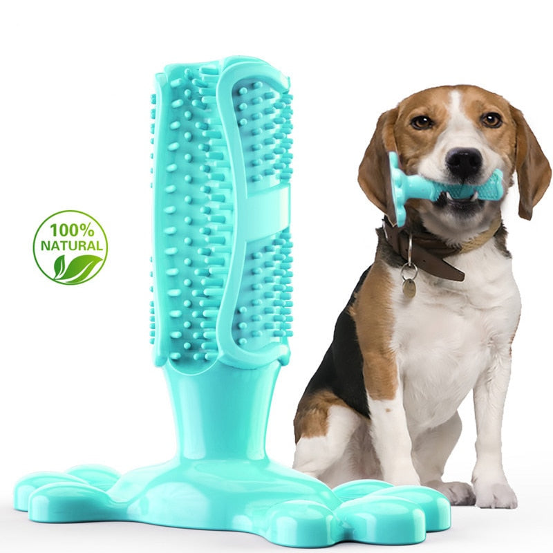 Durable Squeak Toys For Dogs