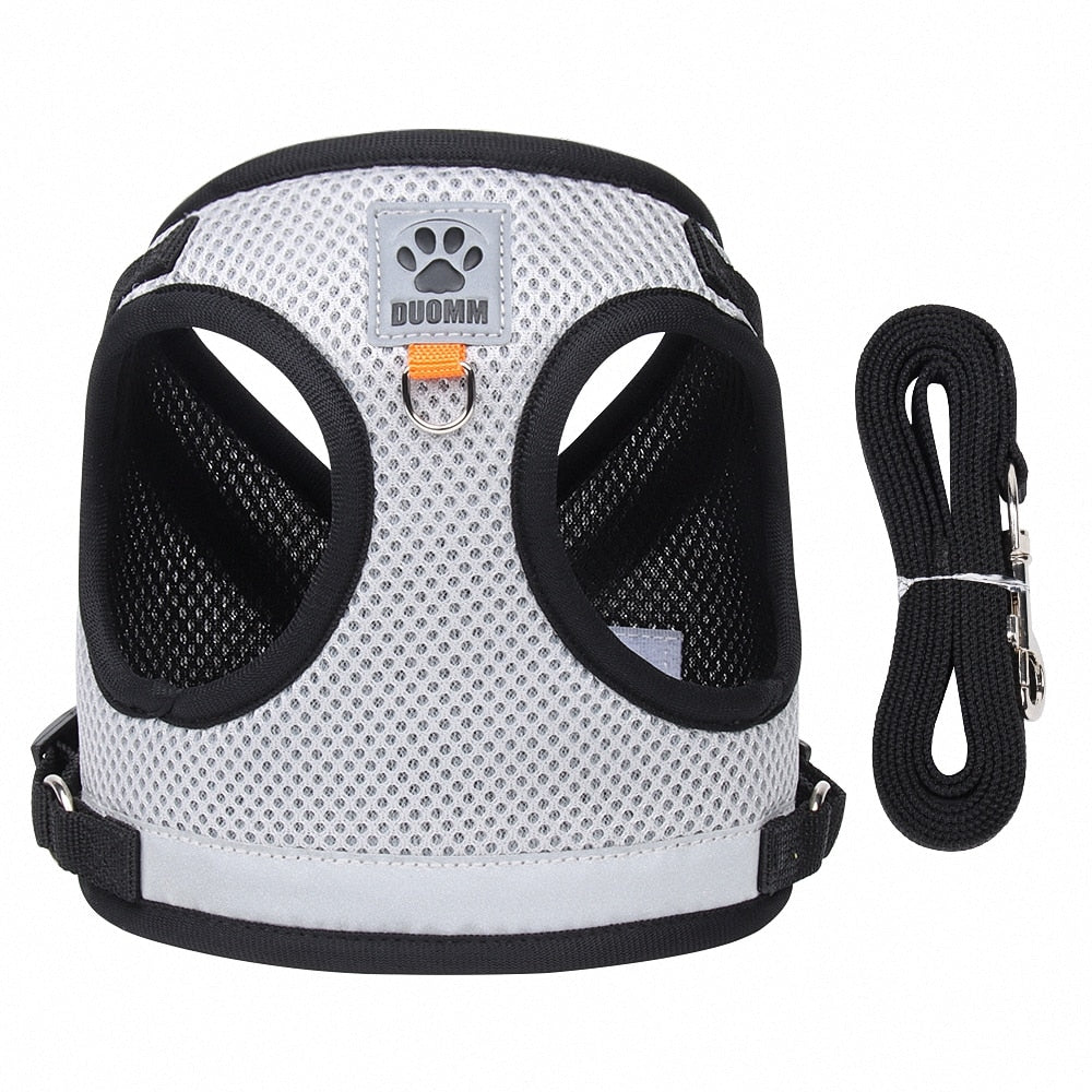 Adjustable Reflective Cat Harness And Leash Set