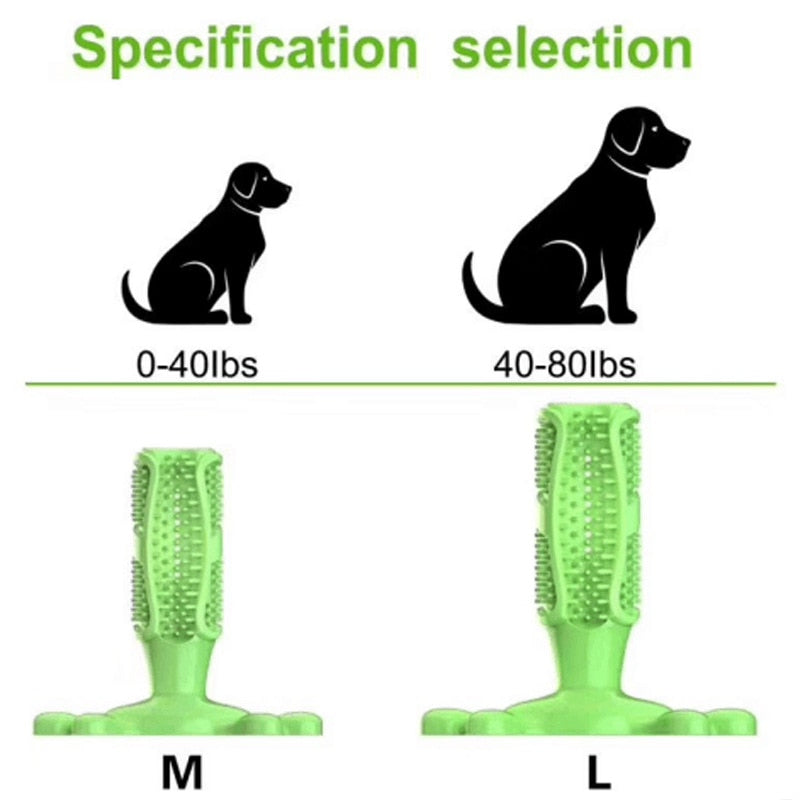 Durable Squeak Toys For Dogs
