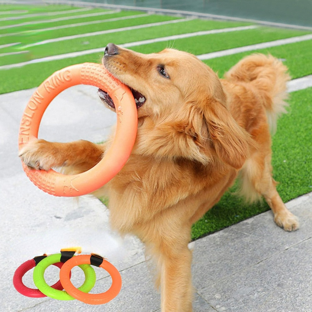 Pet Flying Disk for Interactive Training & Anti-Bite Fun