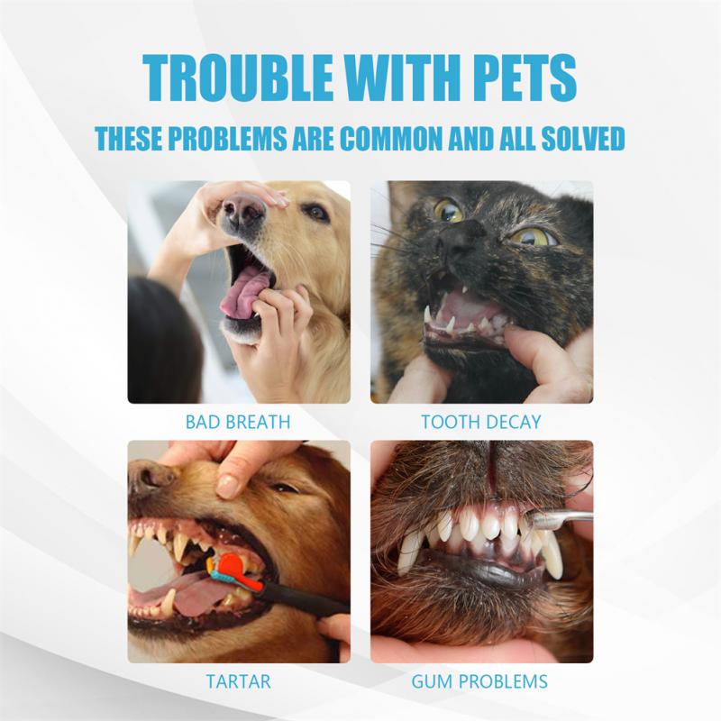 60g Dog And Cat Toothpaste For Fresh Breath