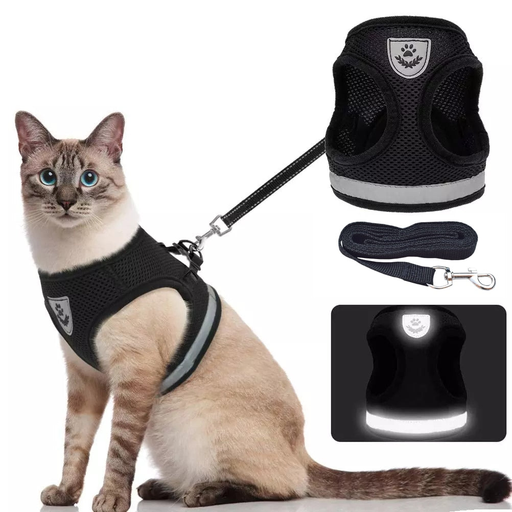 Adjustable Reflective Cat Harness And Leash Set