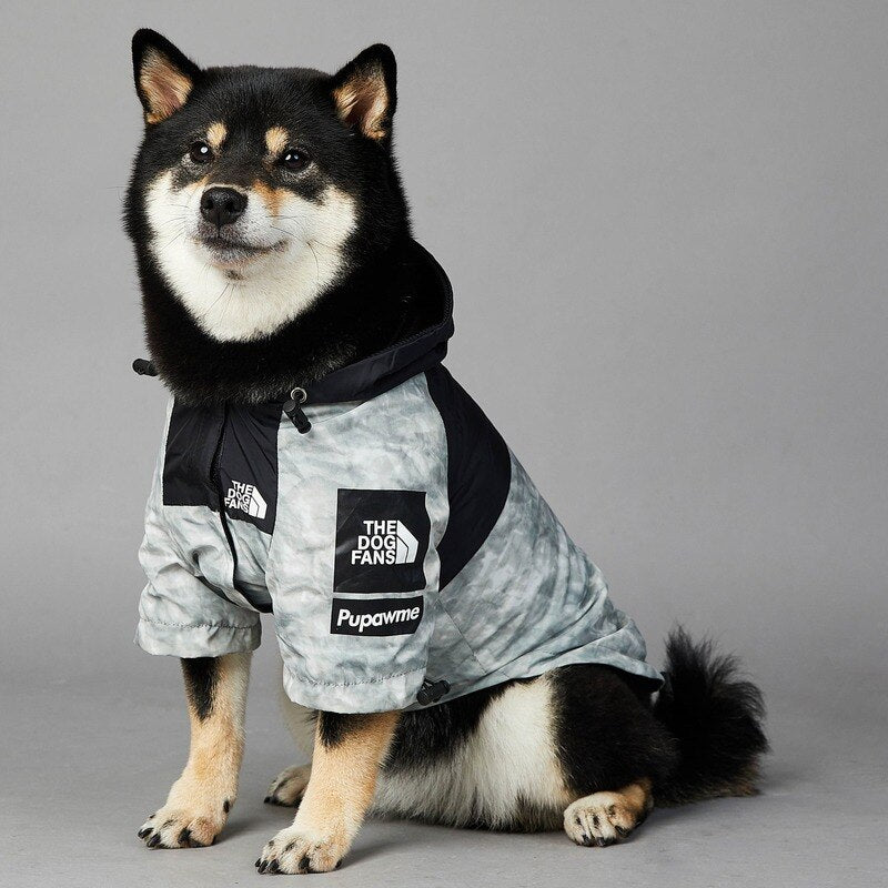 Stylish Dog Raincoat For Small And Big Dogs