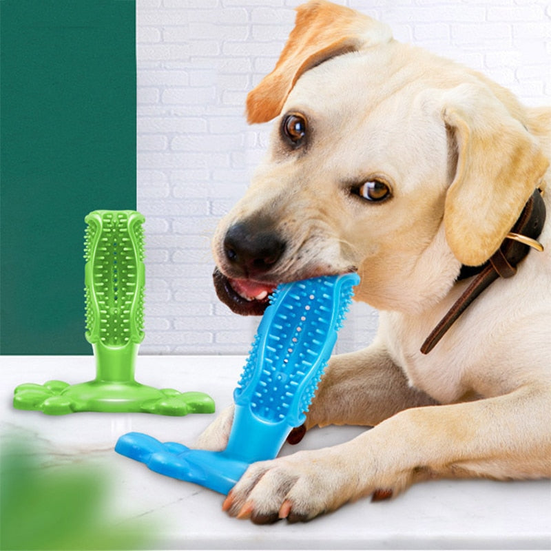 Durable Squeak Toys For Dogs