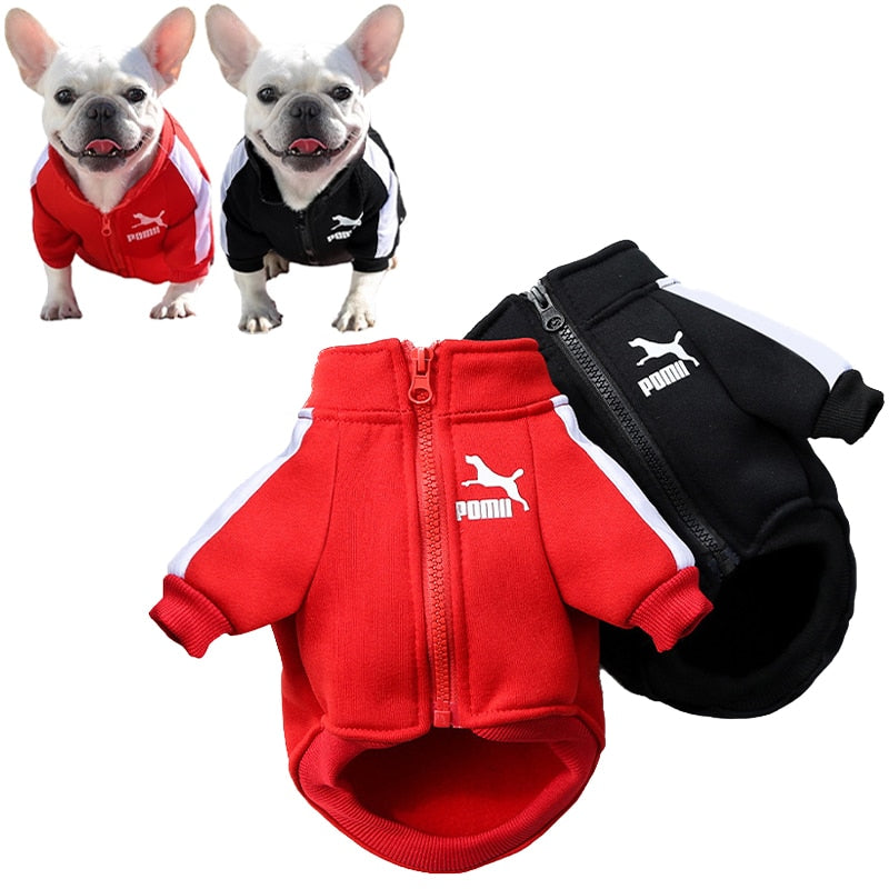 Winter Dog Jacket For Small And Medium Dogs